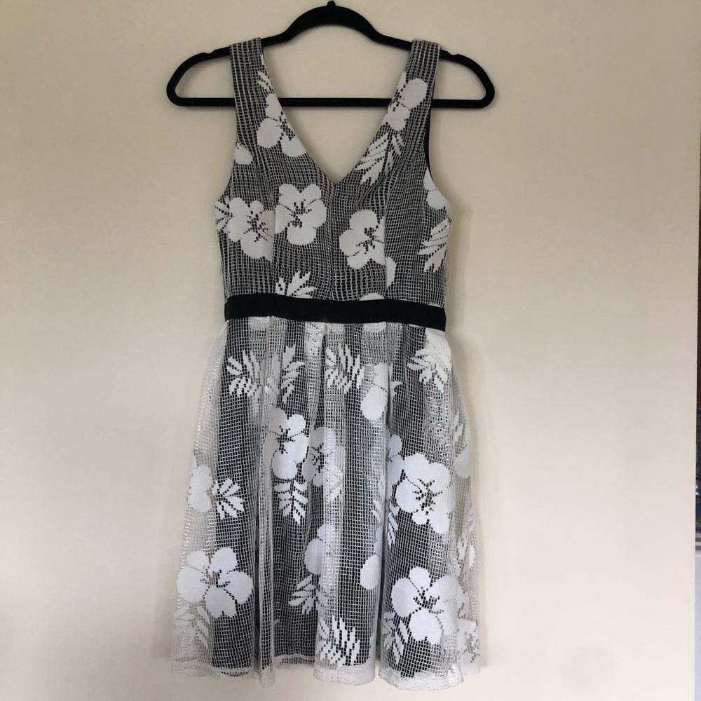 Francesca’s Fit & Flare dress